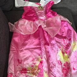 Princess Costumes 