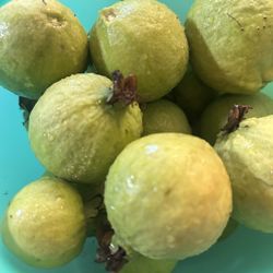 Guayabas/ Guavas 