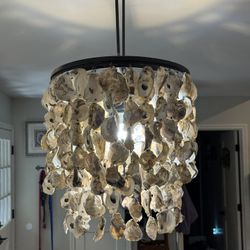 Hanging Shell Chandelier 