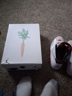 Retro jordan 6  hares
