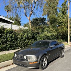 2005 Ford Mustang