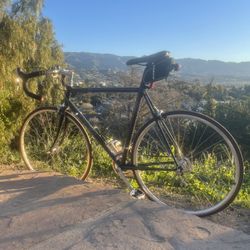 Retro Carbon Trek GT Bike 