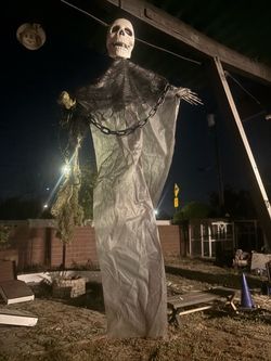 Skeleton 36 inches