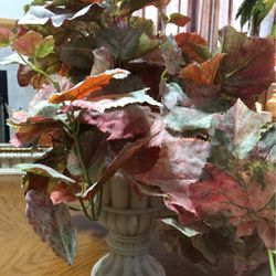 Decorative Vaz With Plant