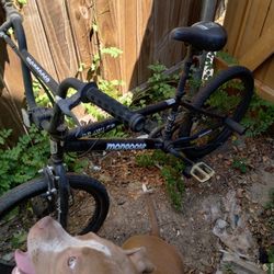 2 Boys Mongoose Bicycles