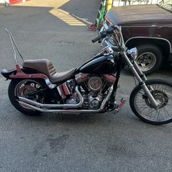 2005 Harley-davidson FXST