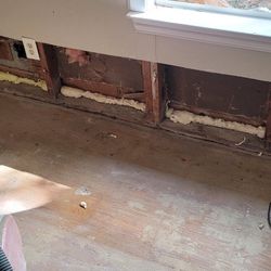 Property Maintenance