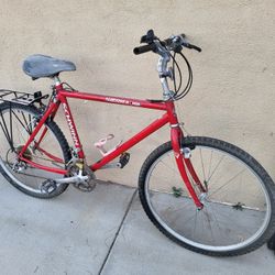 SCHWINN OLD SCHOOL MOUNTAIN BIKE