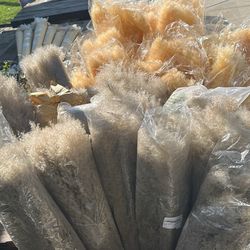 Pampas Grass Bundles