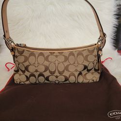 Mini Coach Bag
