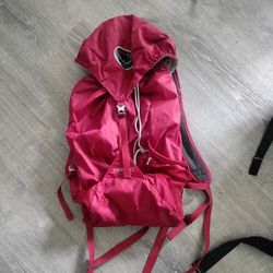 Osprey Day Pack