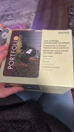 Low-Voltage Landscape Floodlight