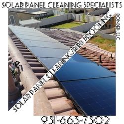 Solar Panel Cleaning