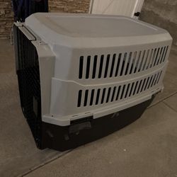 Dog Kennel 