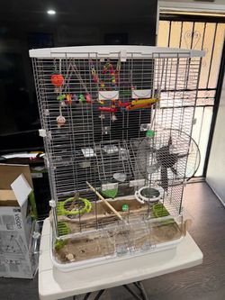 Jaulas para Lovebirds