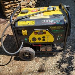 Dual Fuel Electric Start Generator 