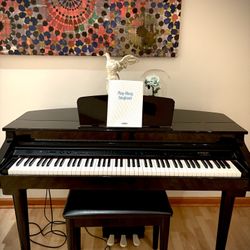 Suzuki DG-10 Micro-Grand Digital Piano 