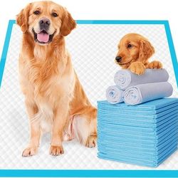 22" x 22" 100 Pcs Premium Disposable Training Pads