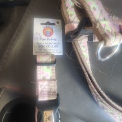 Leash Colar Harness