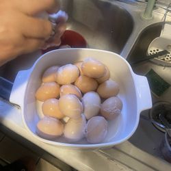 Fresh Organic Eggs