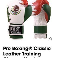 Pro Series Deluxe Starter Boxing Gloves - Mexican Flag