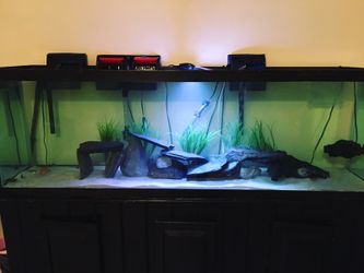 150g