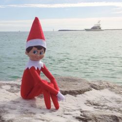 The Elf On The Shelf Plushie Pal Blue Eyed Boy For Christmas New