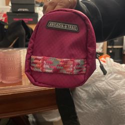 Treat Doggy Bag 