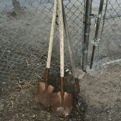 Shovels 