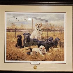 GREAT BEGINNINGS BY JAMES R. KILLENS