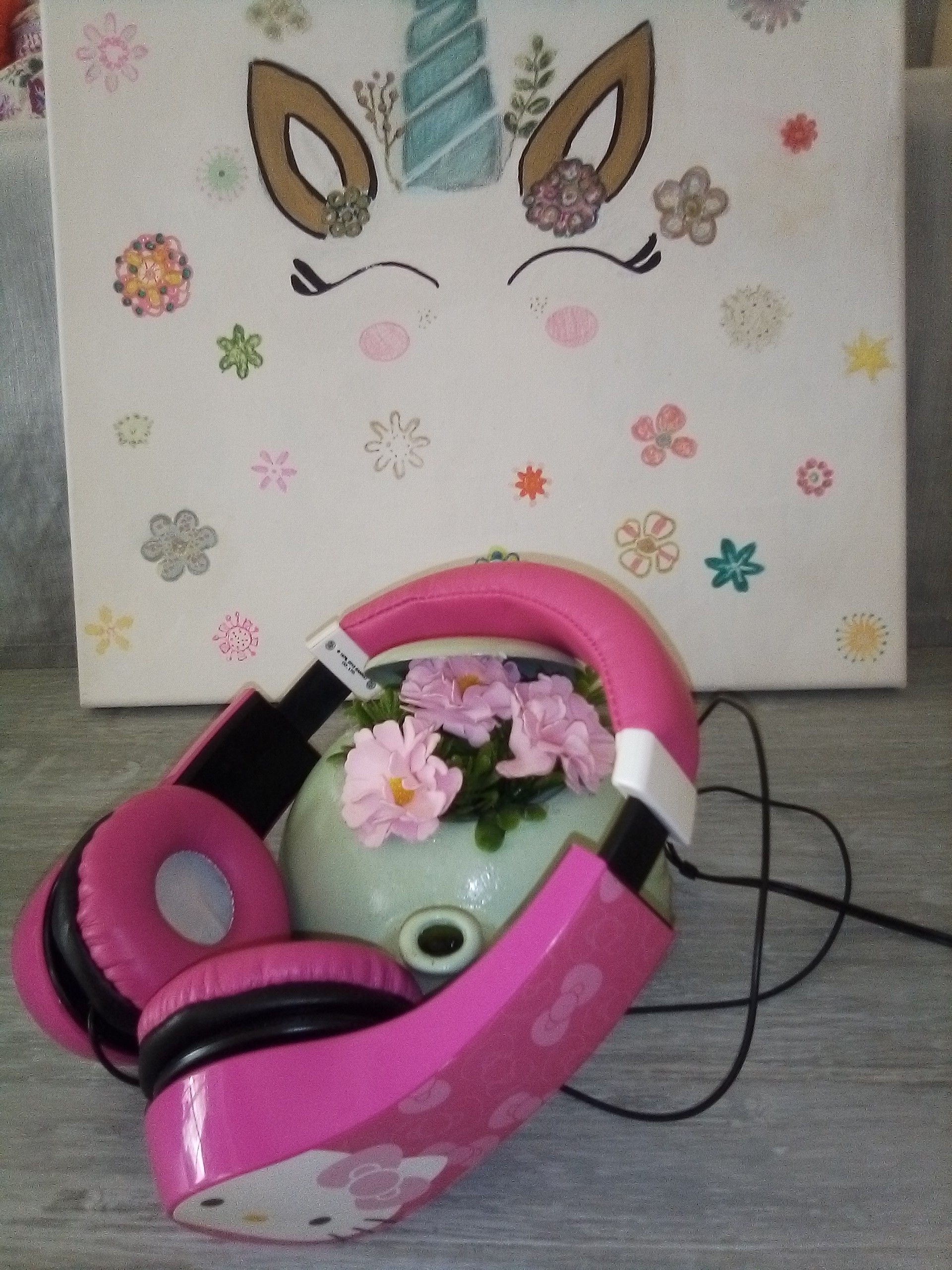 Little girls hello Kitty headphones canvas with unicorn and teakettle Deco , all for $5