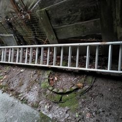 Werner Extension Ladder (READ DESCRIPTION)