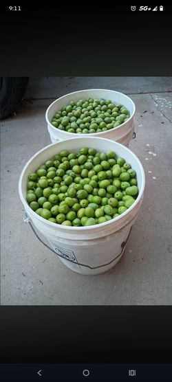 Olives