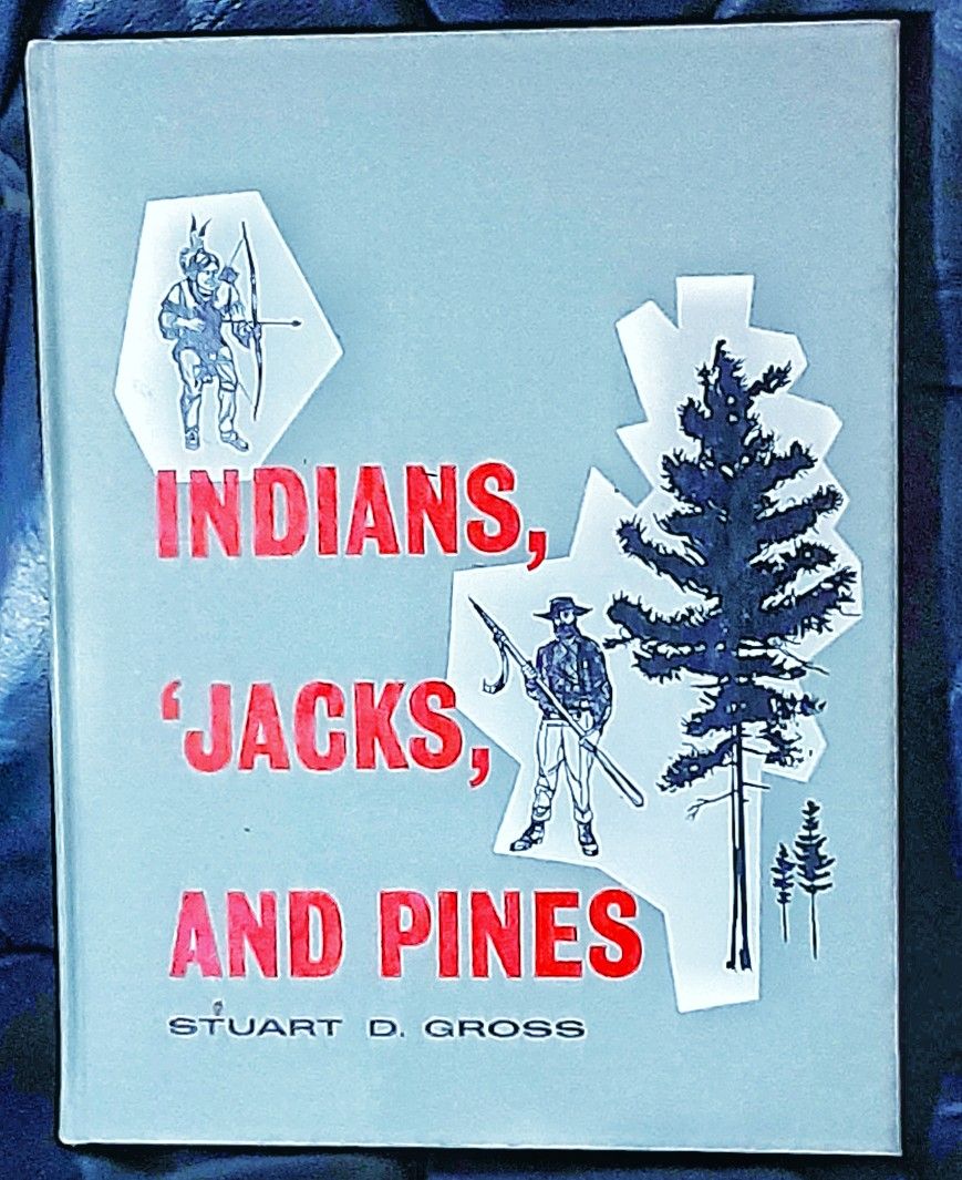 Saginaw History Indians Jack's And Pines by Stuart D. Gross Hardcover Book 1962 GOOD !