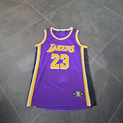 Lebron kids fanatics jersey