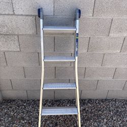 2 in 1 ladder cosco brand
