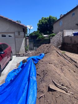 FREE dirt