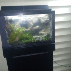 Aquarium With Tank And Stand 