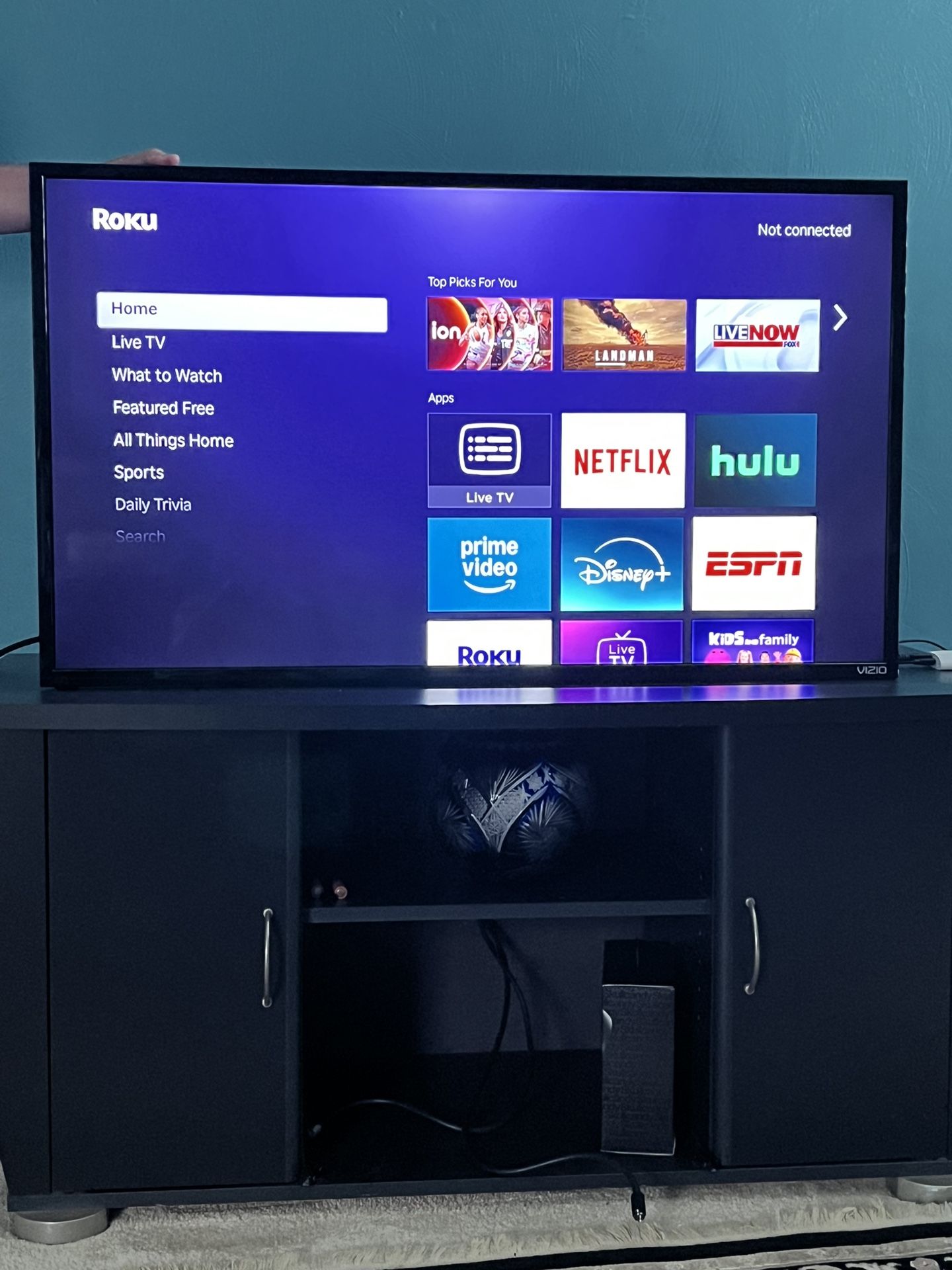 Vizio Model E43u-D2 (HDMI) 43” TV with remote Control And universal Tilt tv Mounting