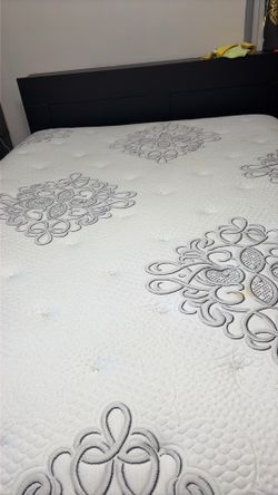 Queen medium firm mattress