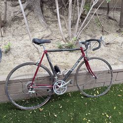 TREK Composite 2200 Road Bike