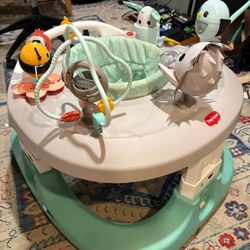 Tiny Love 4-in-1 Walker