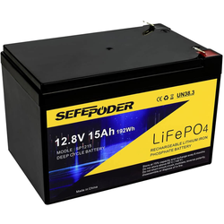 12V 15Ah LiFePO4Deep Cycle Battery, 2000+ Cycles Rechargeable Battery for Lighting, Power Wheels, Fish Finder and More with Built-in 20A BMS