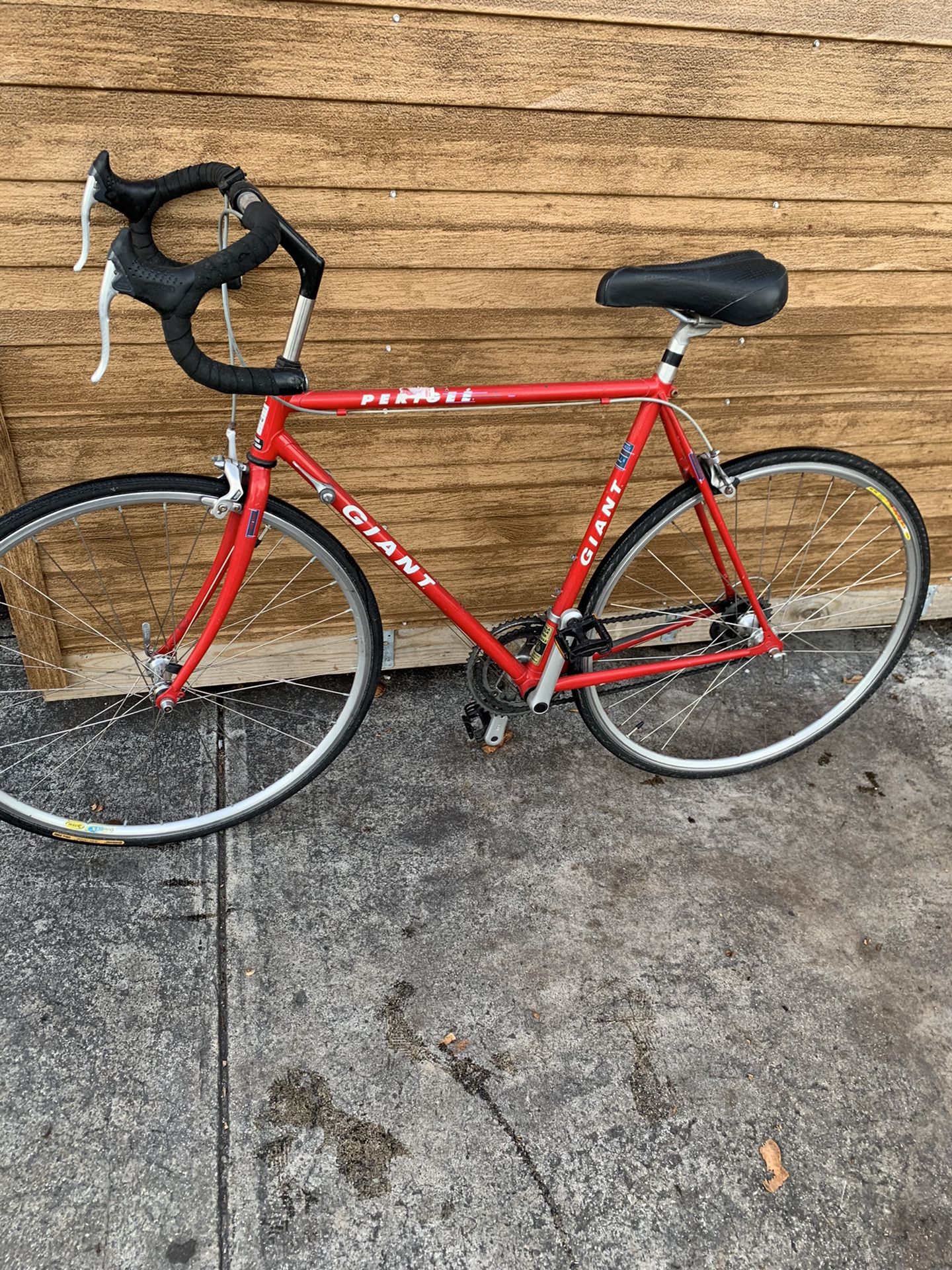 Beautiful Giant Bicycle XL Frame!