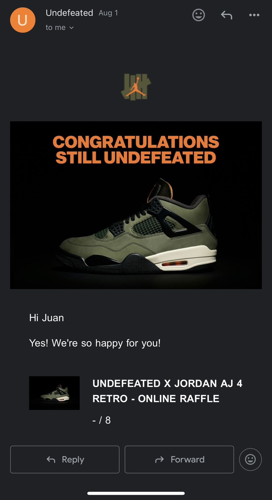 Air Jordan 4 Retro Undefeated