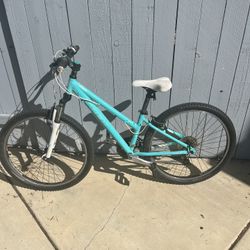 Trek Mountain Bike