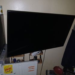 Sony Bravia Xbr 49inch
