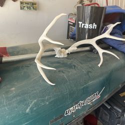 Deer Rack