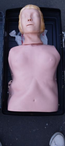 Anne Torso CPR Dummy