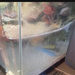 Fish Tanks And Many Extras, Rocks, Plants, Gravel, Centerpieces $20